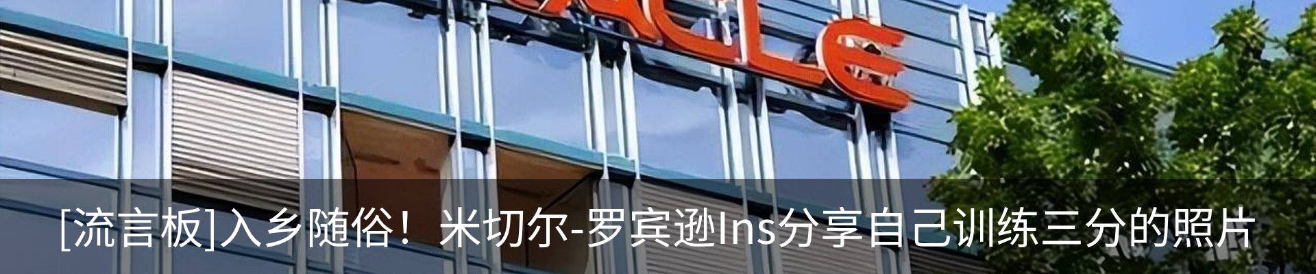 新闻动态